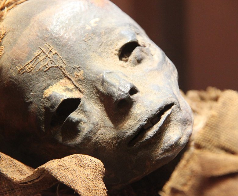 museo-egipcio