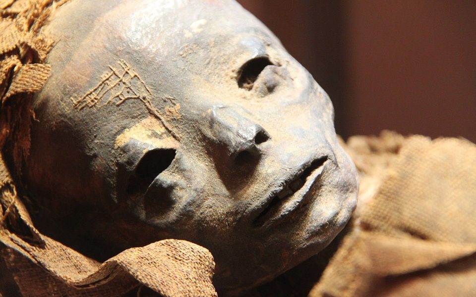 museo-egipcio