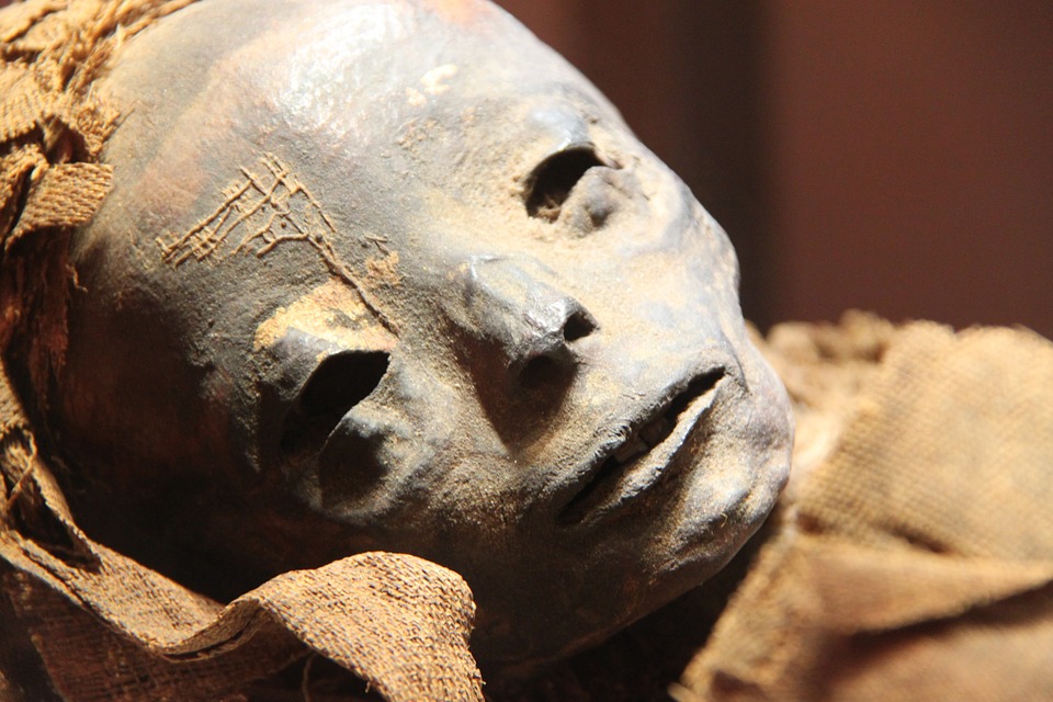 museo-egipcio