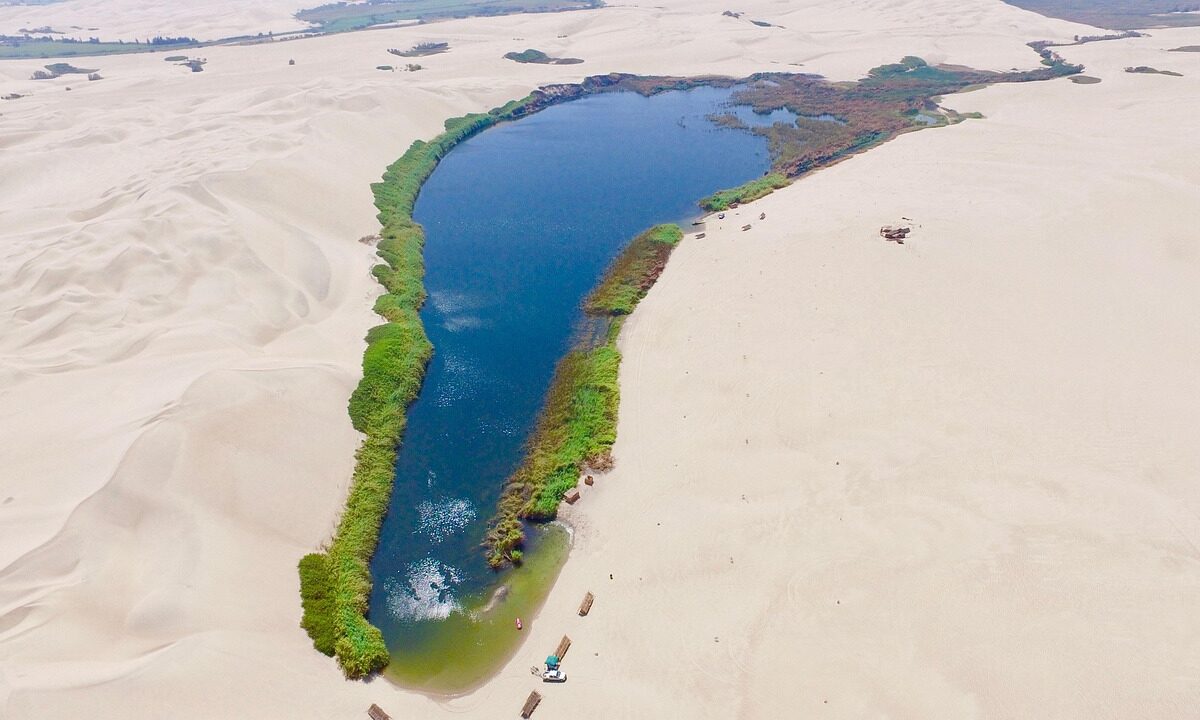 oasis-egipto