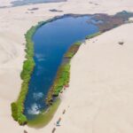 oasis-egipto