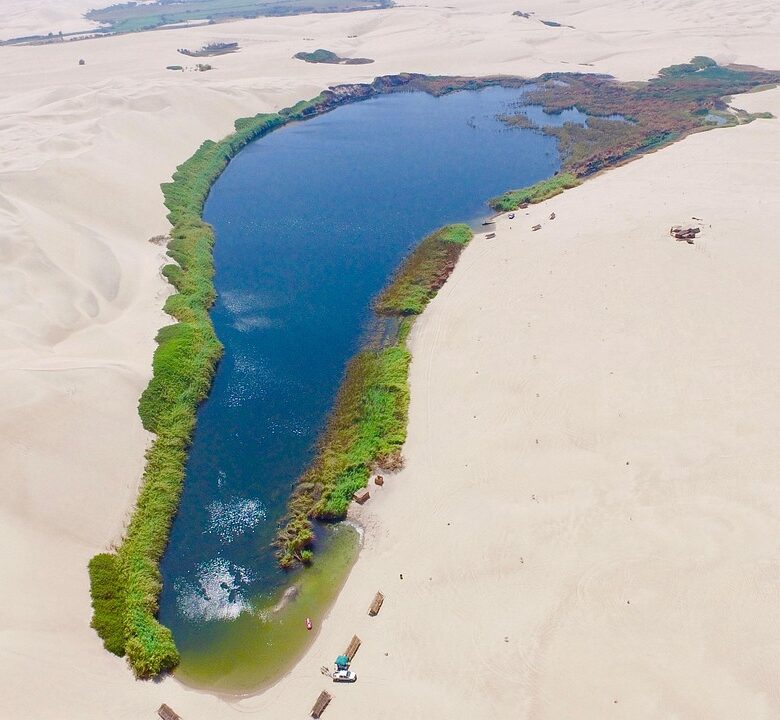oasis-egipto